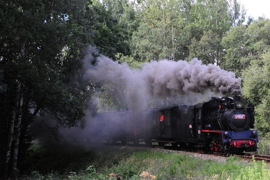 2020.08.27 JHMD U46.101 Jindřichův Hradec - Kamenice nad Lipou (15)